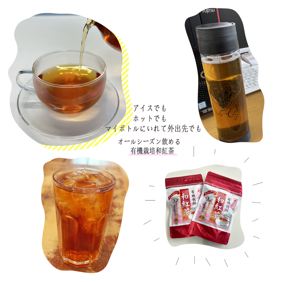 有機和紅茶 ティーバッグ