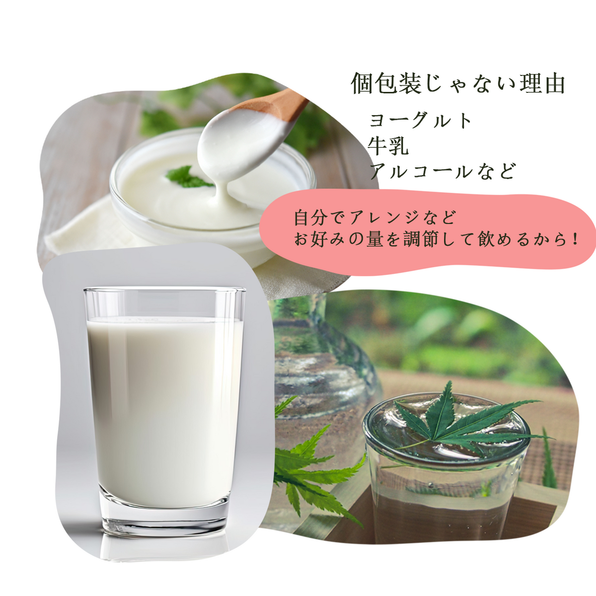 桑茶