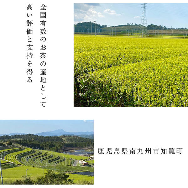 雨後晴