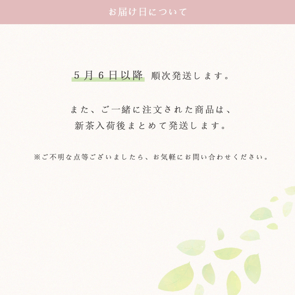 2026新茶- 知覧茶-