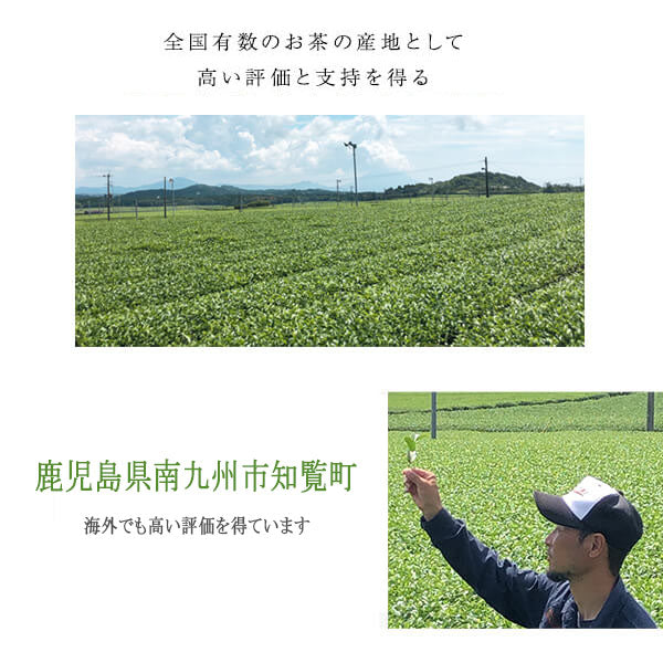 Organic Deep Steamed Tea Chiran Gift [Organic]