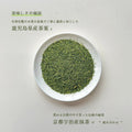 抹茶入り水出し煎茶　ティーバッグ