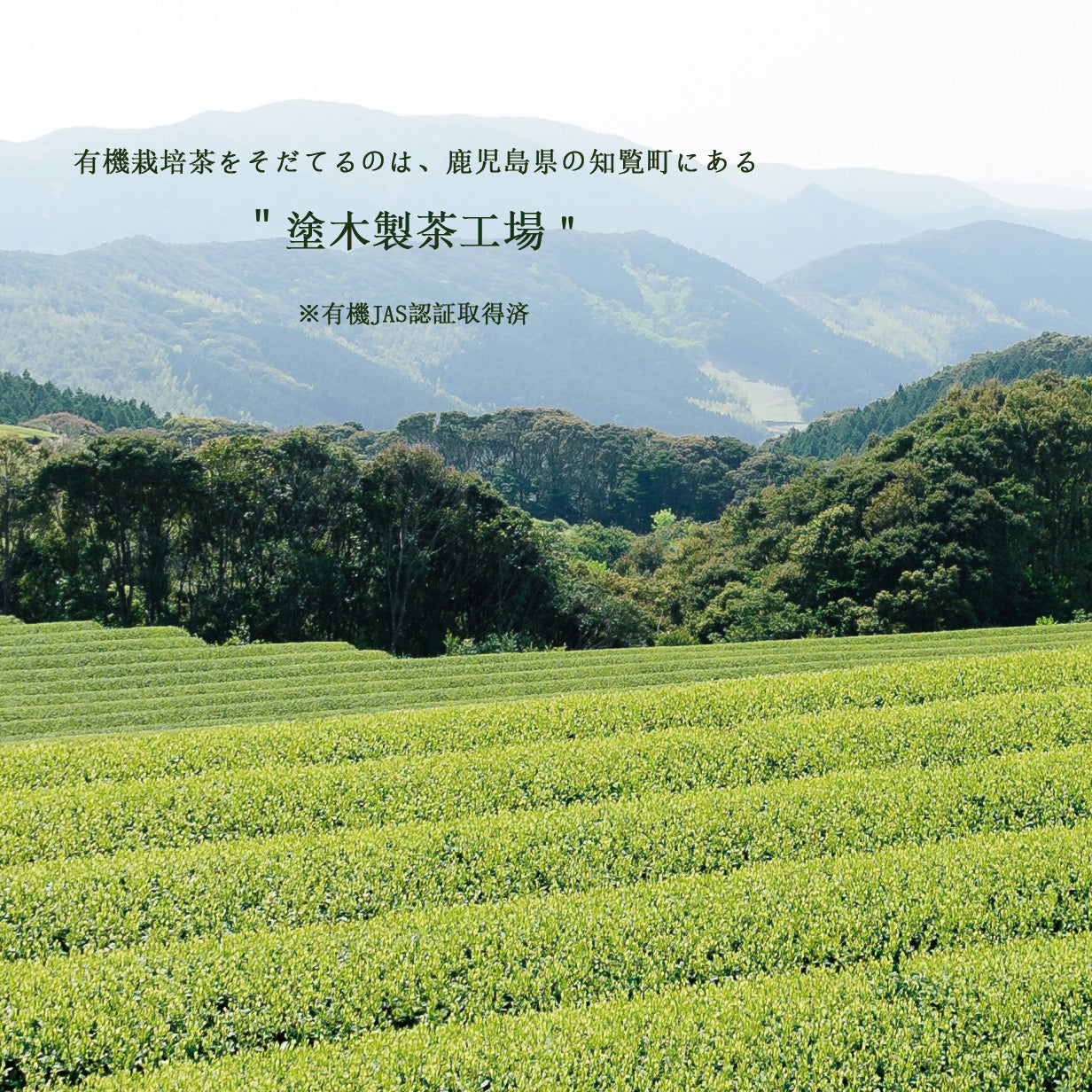 有機JAS】有機緑茶ティーバッグ | お茶の沢田園